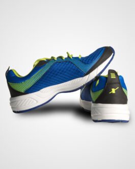 sports shoe1