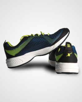 sports shoe3
