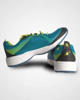 sports shoe4